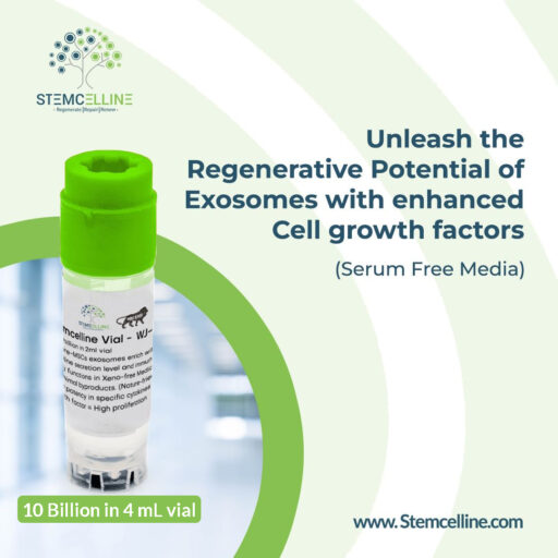 Blogs 7 Why Stemcelline Exosomes Meet International Standards for Hair & Skin Regeneration